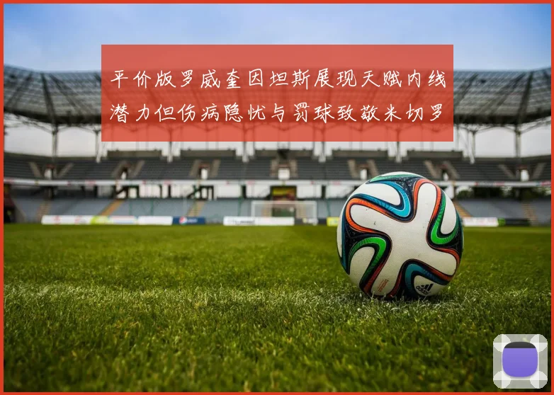 平价版罗威奎因坦斯展现天赋内线潜力但伤病隐忧与罚球致敬米切罗